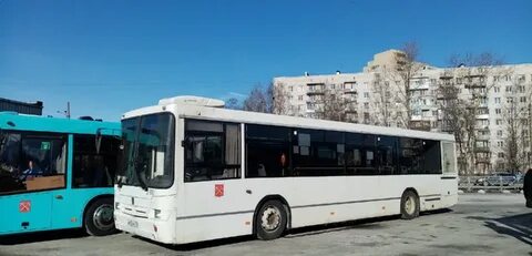 Петербург 50 автобус
