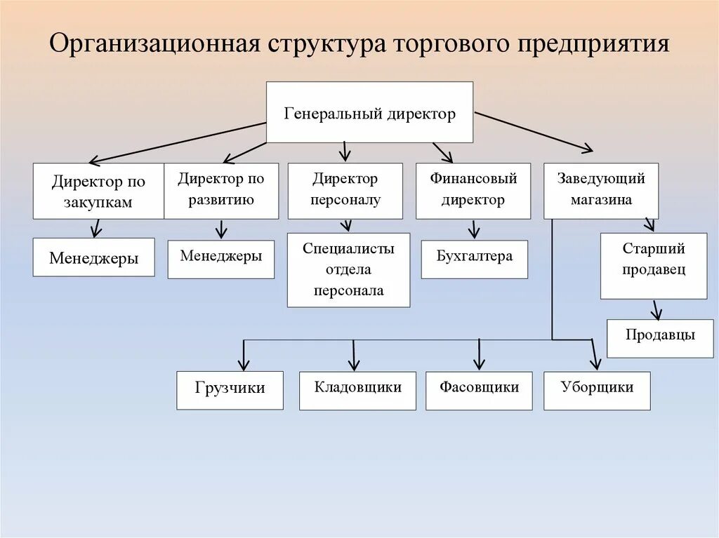 Организация входящих направлений. Организационная структура предприятия схема магазина. Организационно-структурная схема организации (схема управления). Схема организационной структуры предприятия на примере предприятия. Схема организационной структуры оптовой торговой организации.