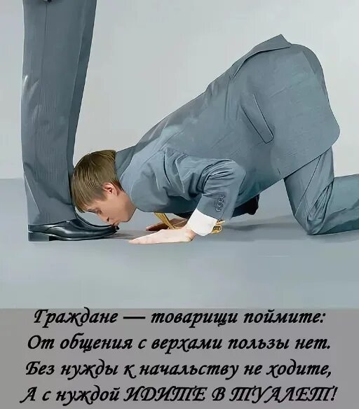 Подлизал. Подлизал мем. Главное вовремя подлизывать. Мемы про печенье. Надо только вовремя подлизывать.