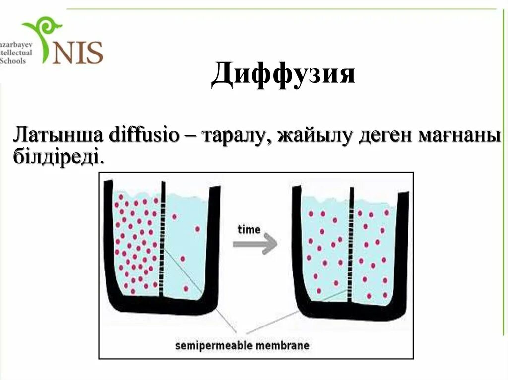 Диффузия в течение нескольких недель. Диффузия. диффузия схема. диффузия дегеніміз. диффузия рисунок.