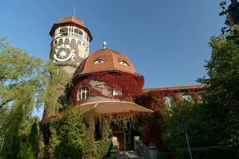 Цветы светлогорск калининградская область