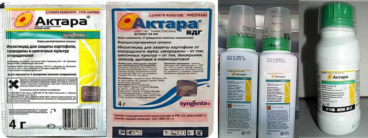 Применение актары для плодовых деревьев