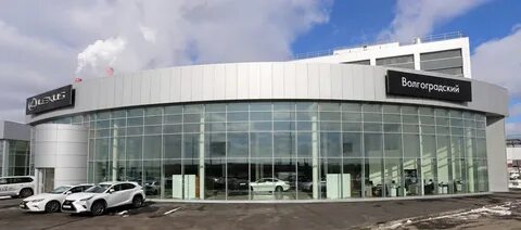 Рольф волгоградский