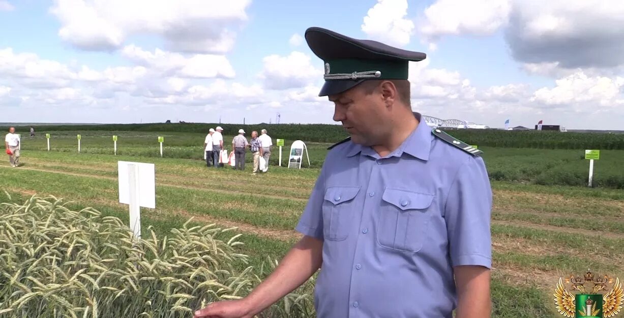 Сайт россельхознадзора брянской области. Россельхознадзор Брянск Киселев. Россельхознадзор Брянск. Россельхознадзор Смоленск. Семеноводство Россельхознадзор.