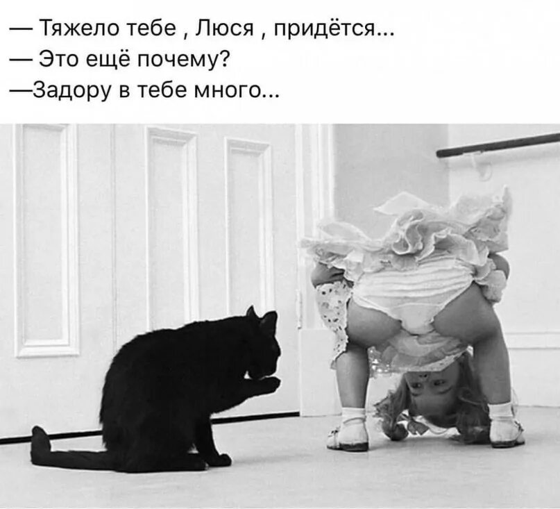 Конфуций миром правят знаки и символы. Приходится тяжело работать в. Приходится тяжело работать в. Приходится тяжело работать в. Шутки про мечты.