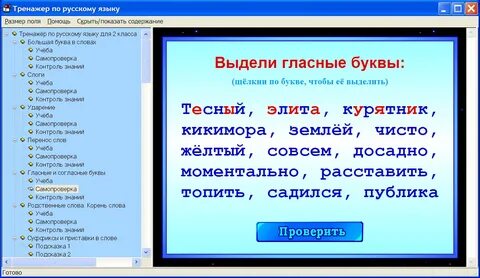 Программа спецкурса русский язык
