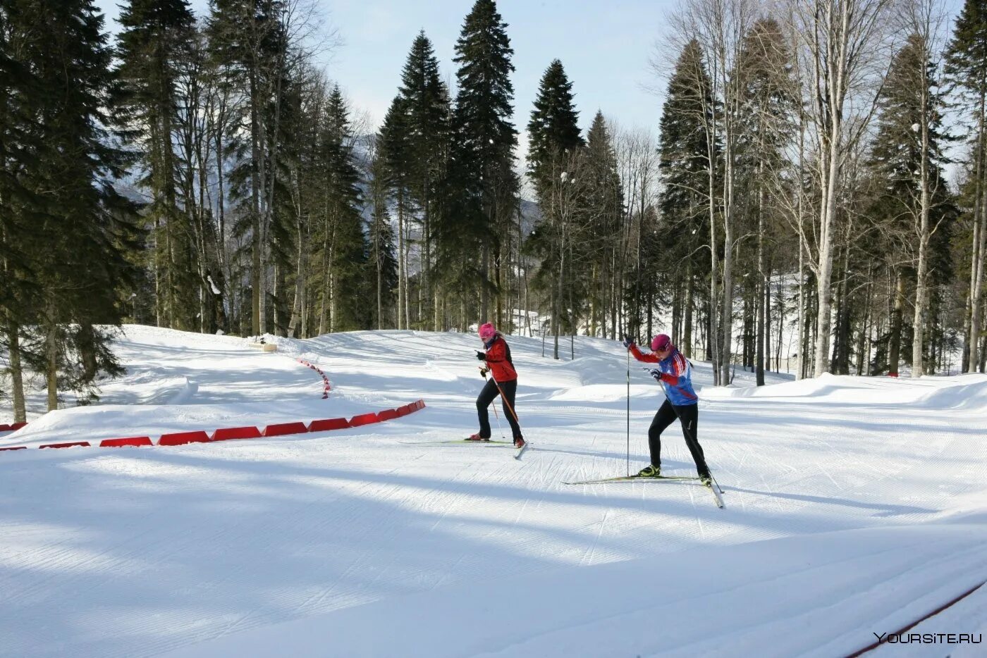 Красная Поляна беговые лыжи трассы.