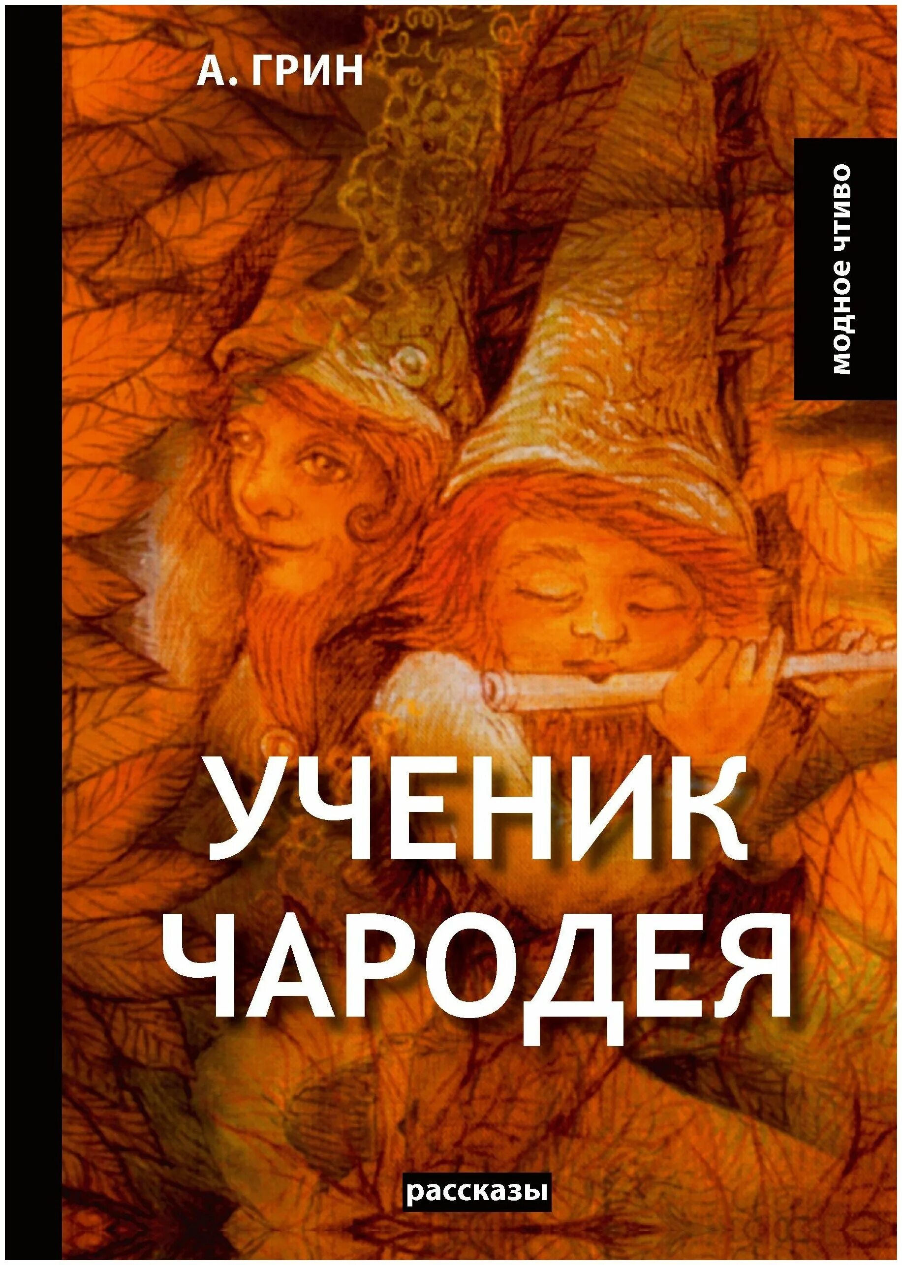 Ученик чародея книга. Ученик чародея книга Автор. Чародеи книга. Ученик с книгой. Купить книгу ученик