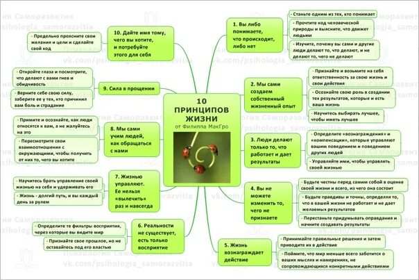 10 принципов жизни