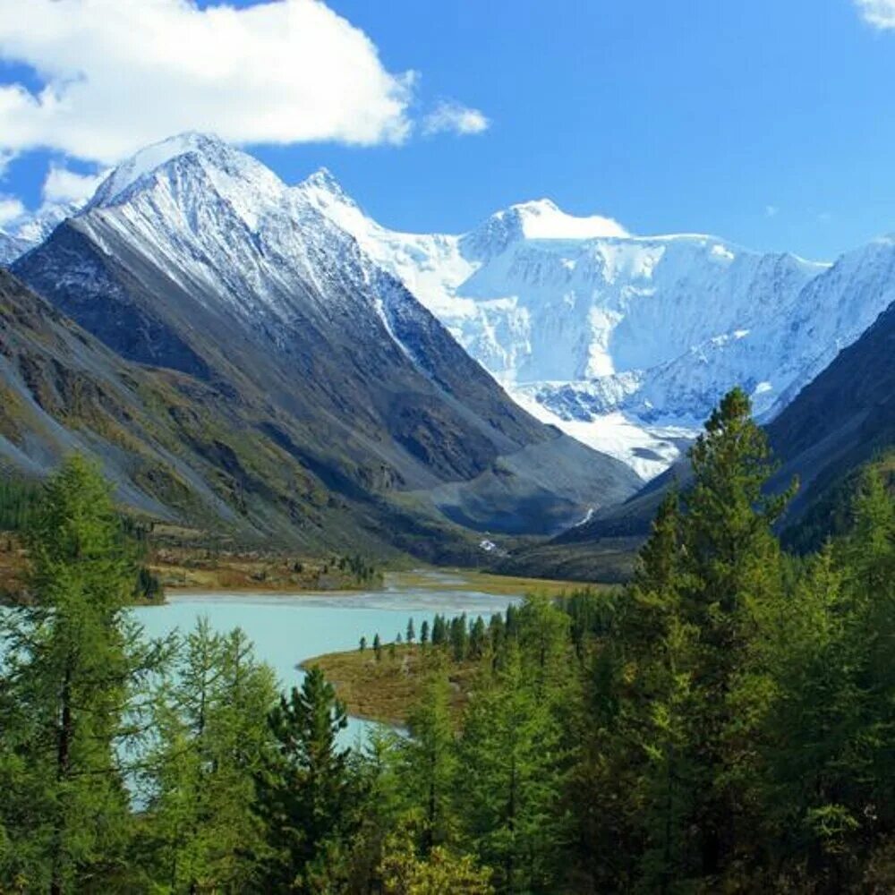 Как называются горы в россии. Золотые горы Алтая Алтайские горы. Гора Белуха, горный Алтай. Катунский заповедник Республика Алтай. Золотые горы Алтая ЮНЕСКО.