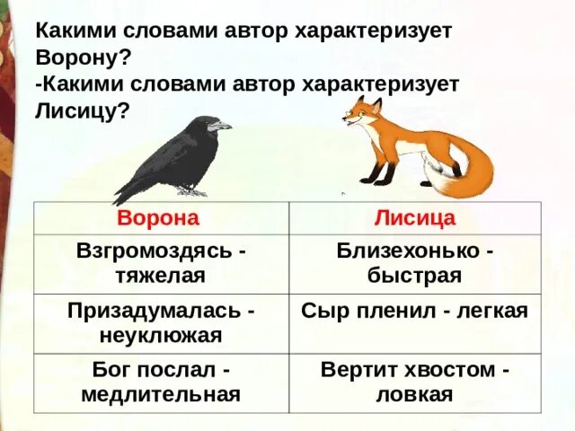 Лисий хвост какое прилагательное. Лисий хвост какое прилагательное