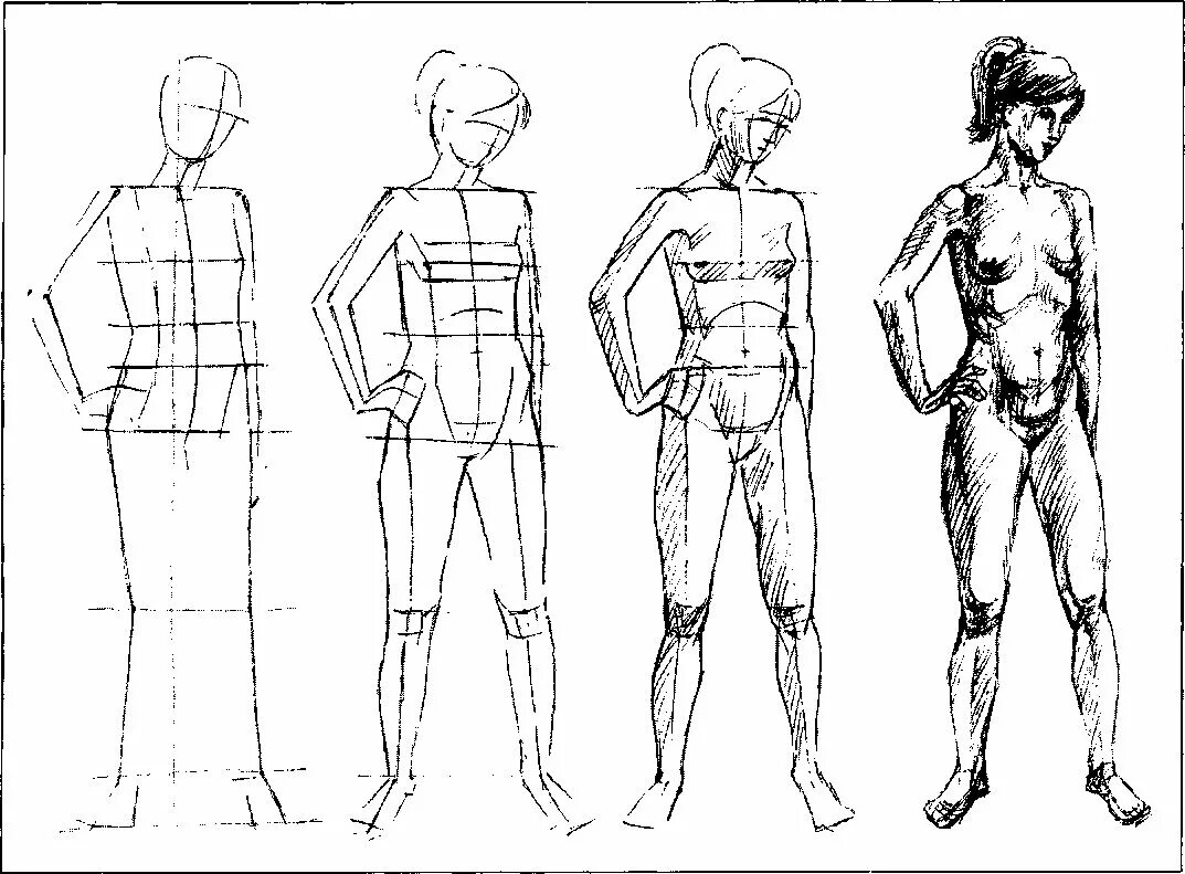 8 частей человека. Пропорции фигуры человека Баммес. Наброски фигуры человека. Фигура человека рисунок. Фигура человека для рисования.