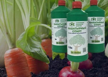 Нашатырь от вредителей