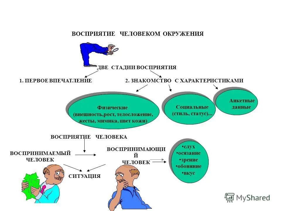 Восприятие человека человеком. Восприятие человека перцепция. Стадии восприятия человека. Восприятие другого человека. Поведение личности окружение