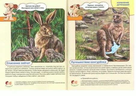 Animal рассказы