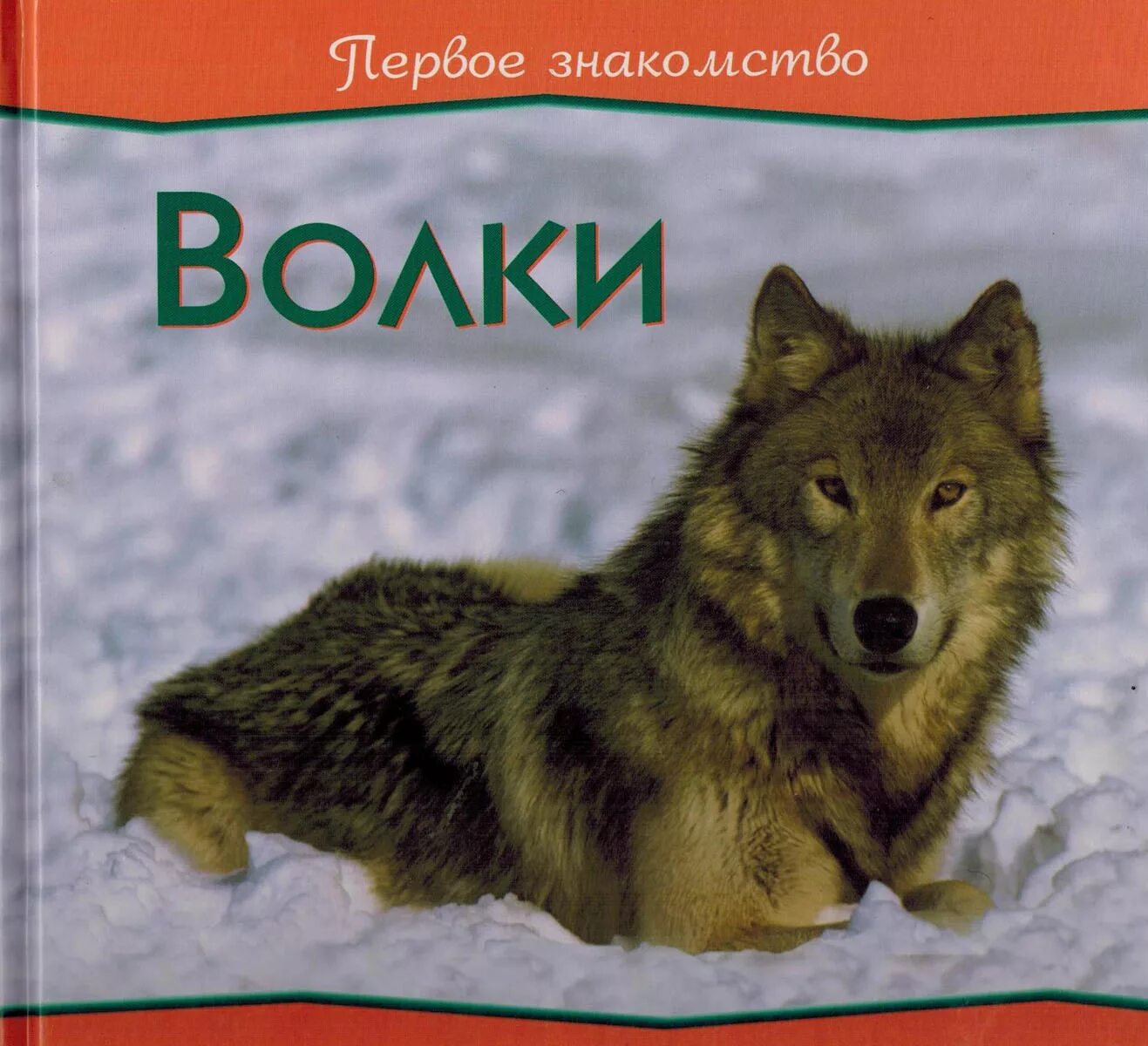 Книга киров волк 90. Книга волк. Волк с книжкой. Книги про Волков. Энциклопедия. Волки.