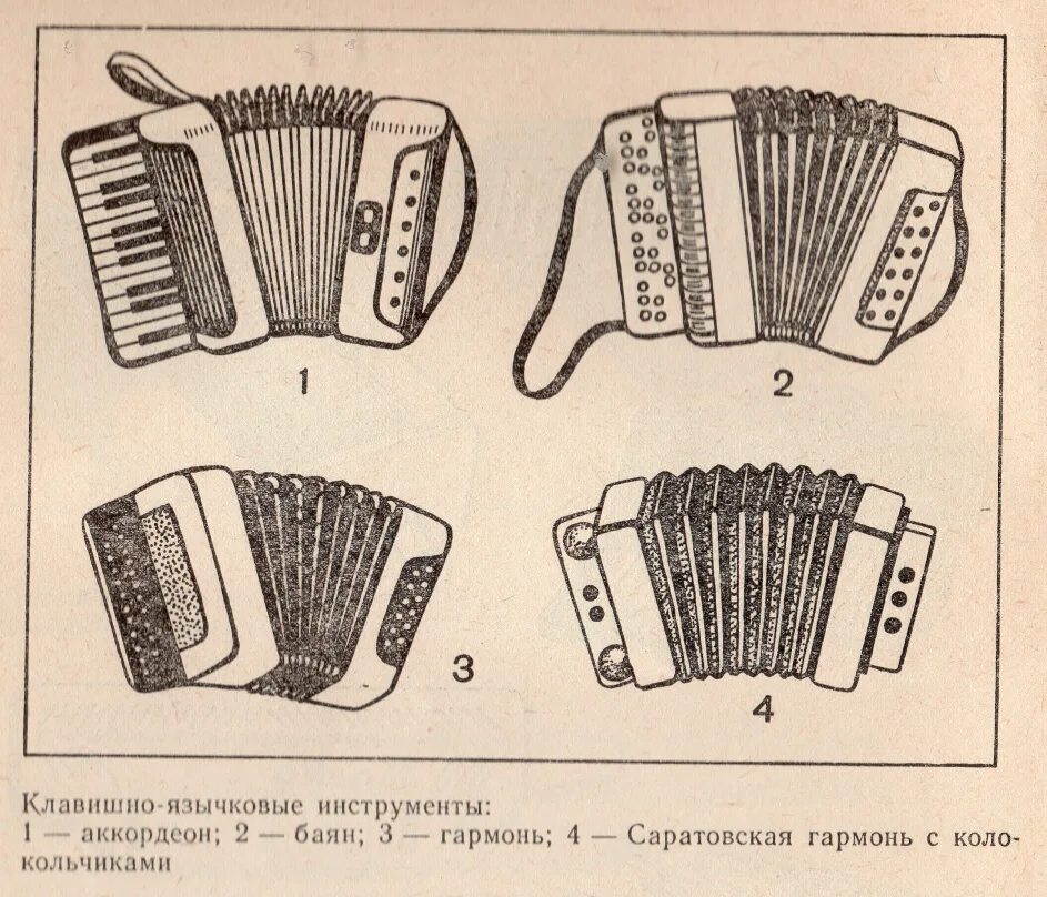 Язычковые инструменты. Клавишно-язычковые музыкальные инструменты. Язычковые русские народные инструменты. Отличие гармони от баяна и аккордеона. Чем отличается аккордеон от баяна и гармони