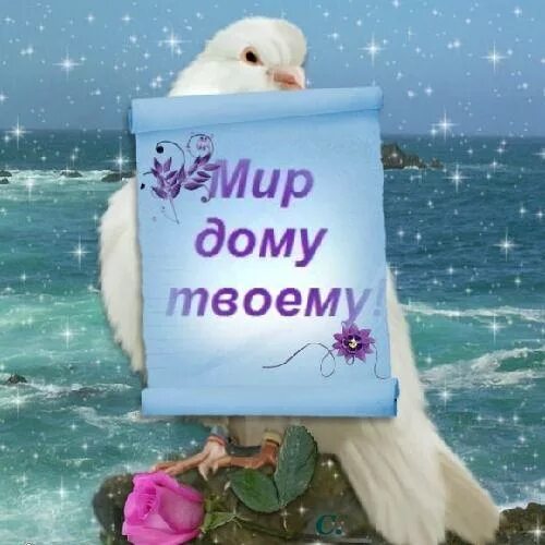 Мира и добра вашему дому. Мира и счастья вашему дому. Мир дому твоему текст. Мира и счастья вашему дому. Мир дому твоему.