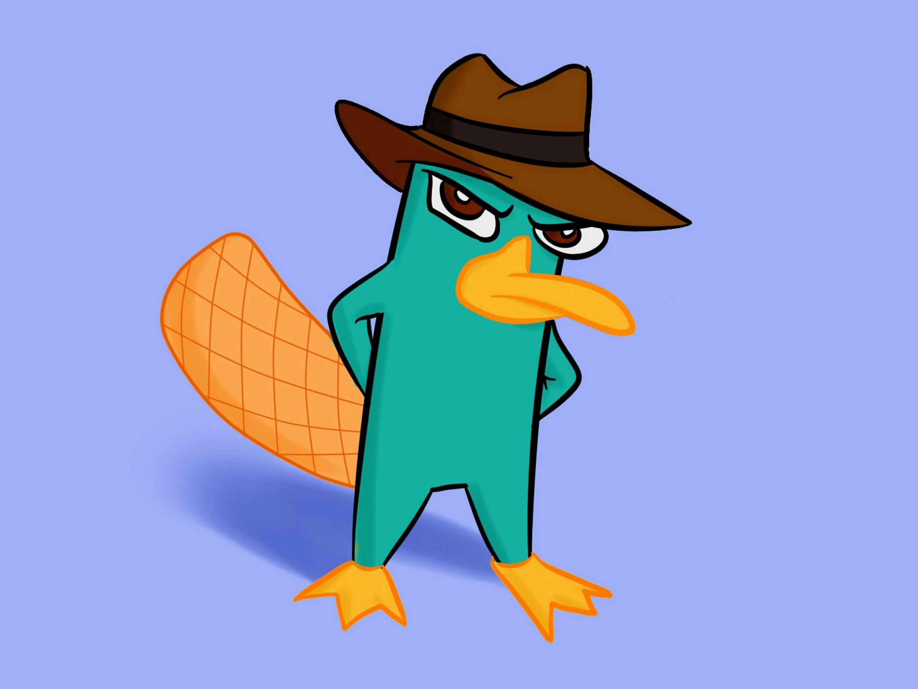 Perry the platypus