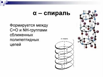 Спираль состоит