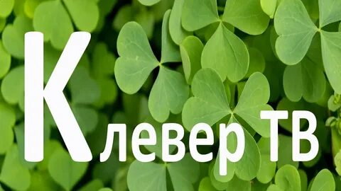 Клевер на английском