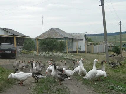 Погода в круглом воронежская область