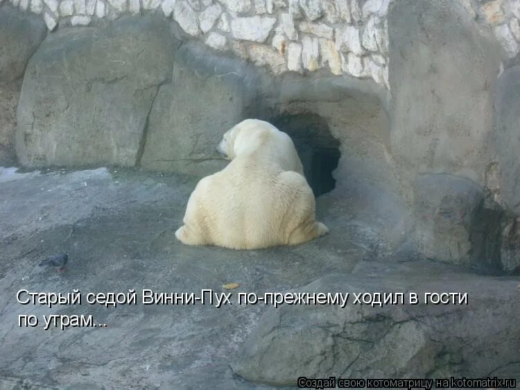 рассвет в лесу. солнце садилось но туристы по прежнему шли. солнце садилось но туристы по прежнему шли. упражнение 275 по русскому языку 7 класс баранов. солнце светило по зимнему.