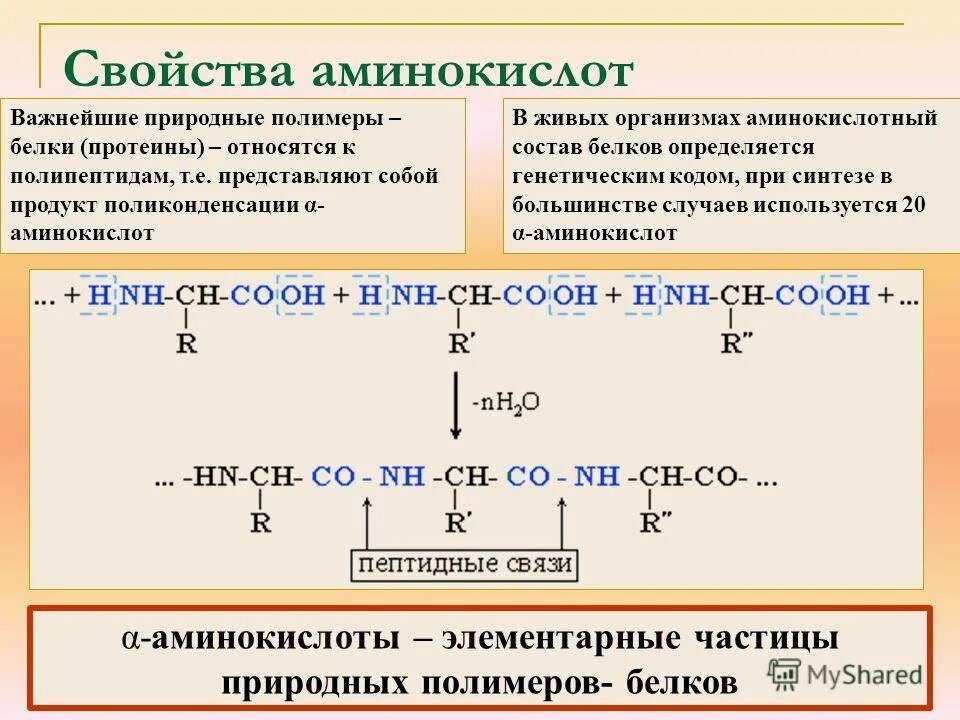 Химические свойства основных аминокислот. Химические свойства аминокислот кислотно-основные свойства. Химические свойства аминокислот реакция поликонденсации. Аминокислоты и их химические свойства.