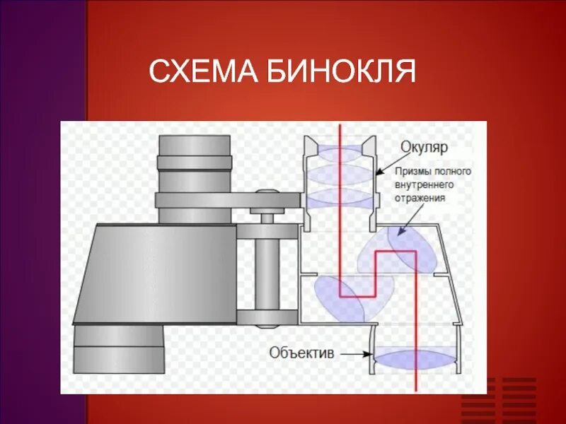 Окуляр схема. Оптическая схема бинокля. бинокль схема устройства. строение бинокля. схема призменного бинокля.