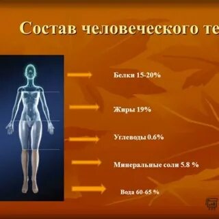 Вещества входящие в организм человека