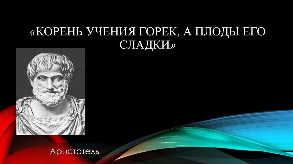 Корни образования горькие но плоды сладкие. Корень учения горек а плод его сладок. Корень учения горек а плоды его Сладки Аристотель. Корни образования горьки, но плоды Сладки фраза Аристотеля. Корень учения горек но плоды его Сладки.