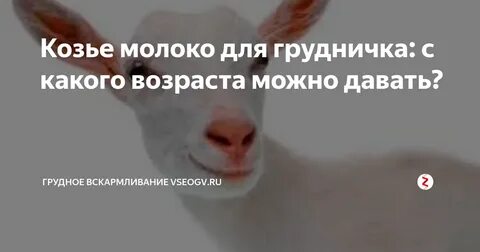 Можно ли котятам давать козье молоко