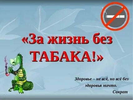 Жизнь без организма