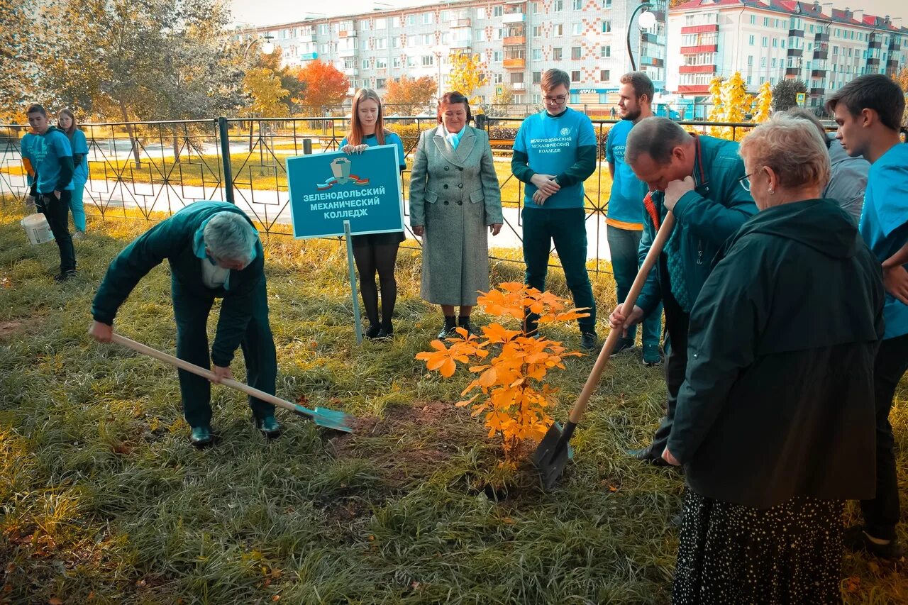 Высадка деревьев акция