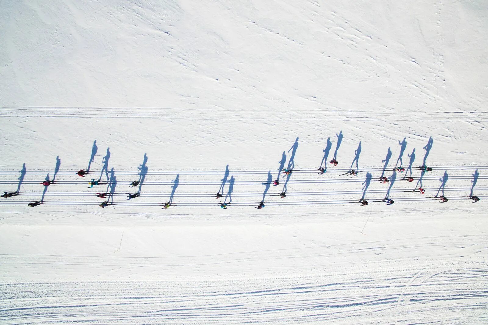 Звуки лыжников. Лыжники. Сопки лыжники. Картинки лыжников прикольные. База летающий лыжник.
