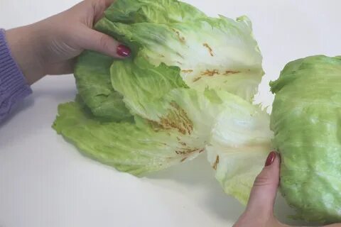 Точки на пекинской капусте что это