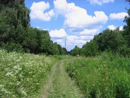 Икша дмитровский московская область