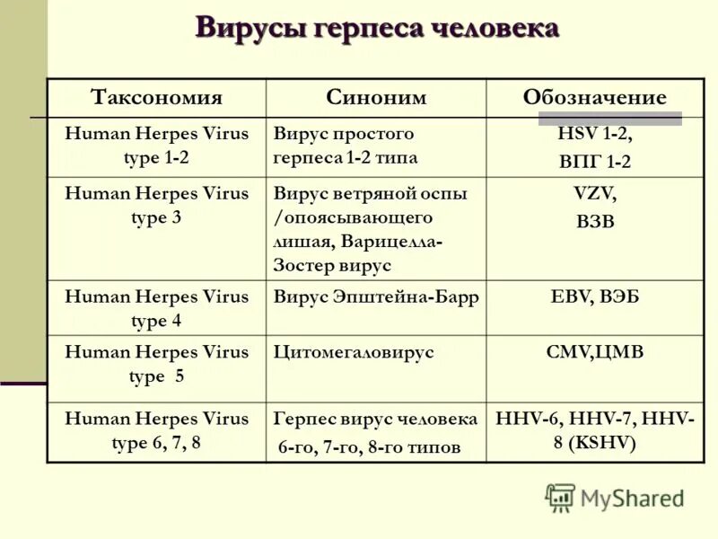 Вирус простого герпеса 1 таксономия. 2. Структура вируса простого герпеса. Вирус герпеса типа 2 — hsv-2, впг-2. Вирусная инфекция герпес.