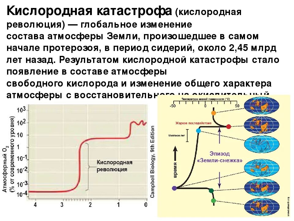 Кислородная катастрофа. Великая кислородная революция схема. Уровень кислорода в истории земли. Кислородная революция кратко.