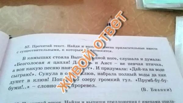 Выписать из текста слова прилагательные. Прочитай текст выпиши. найди в тексте имя прилагательное. выпиши его. прочитай текст выпиши имена прилагательные. выпиши из текста только имена прилагательные.