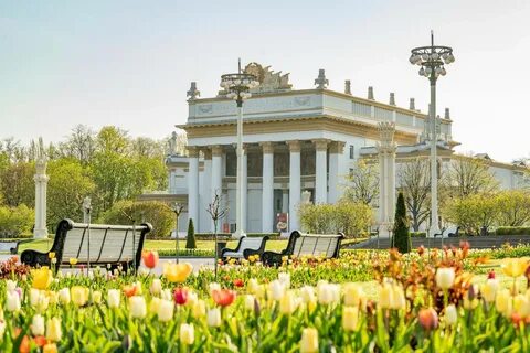 Вднх российская кухня