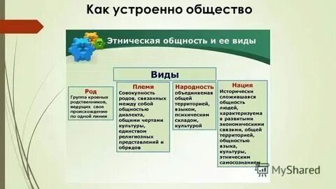 Обществознание шестой класс параграф как устроено общество. Обществознание шестой класс параграф как устроено общество