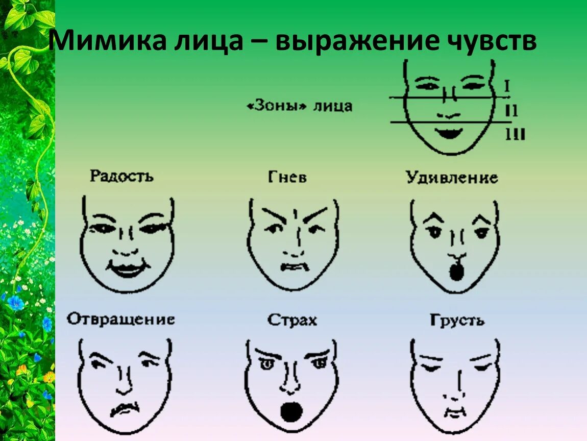Средство выражения чувств. Мимика лица. Мимическое выражение эмоций. Мимика лица эмоции. Мимика лица в картинках.