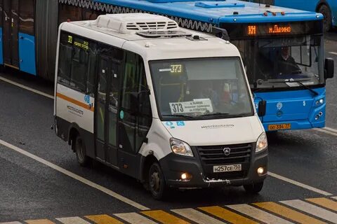 Луидор 2250ds