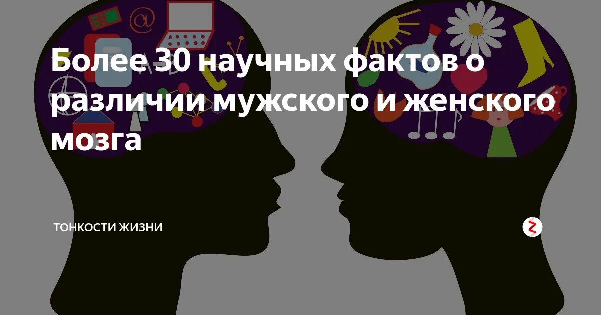 Мышление мужчины женщины. Мышление мужчины и женщины. мужское мышление женское мышление. мозг парня. мужчина и женщина разность мышления.