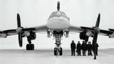 Видов 95