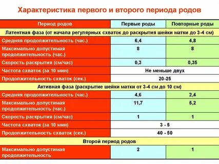 Через сколько рожают