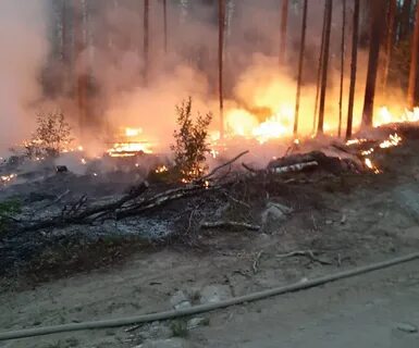 Пожары в карелии