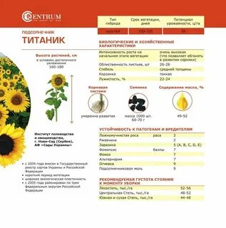 Подсолнечник систематика