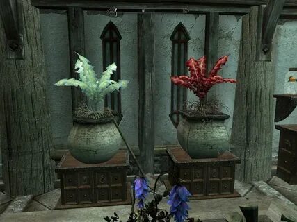 Skyrim plants